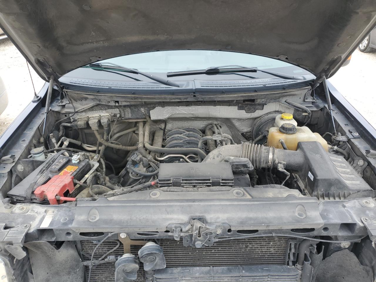 2014 Ford F-150 VIN 1FTFW1CF4EKF73896 Copart auction photo, side / minor dent/scratches damage thumbnail 11