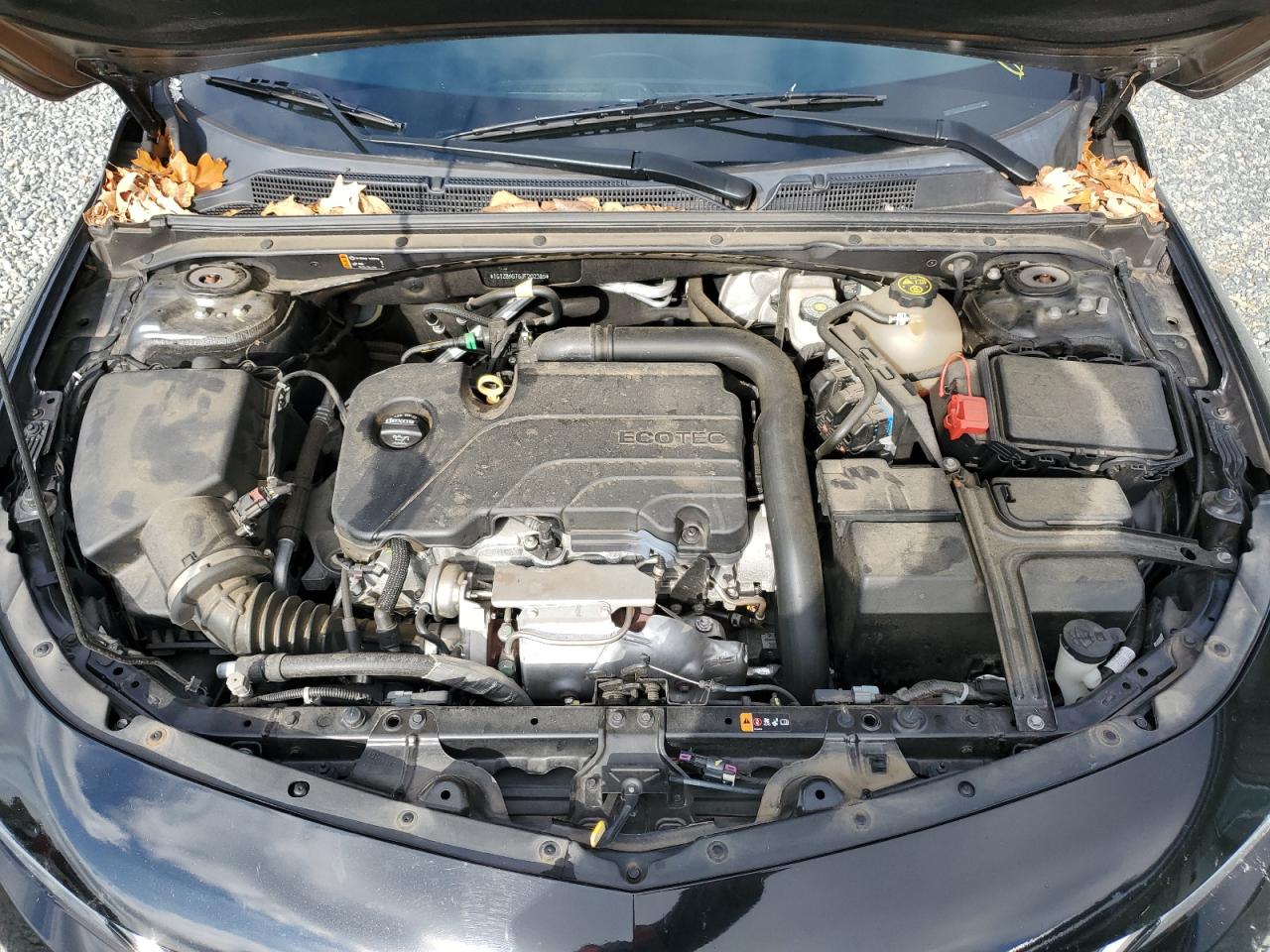 2018 Chevrolet Malibu VIN 1G1ZB5ST6JF202385 Copart auction photo, side damage thumbnail 13