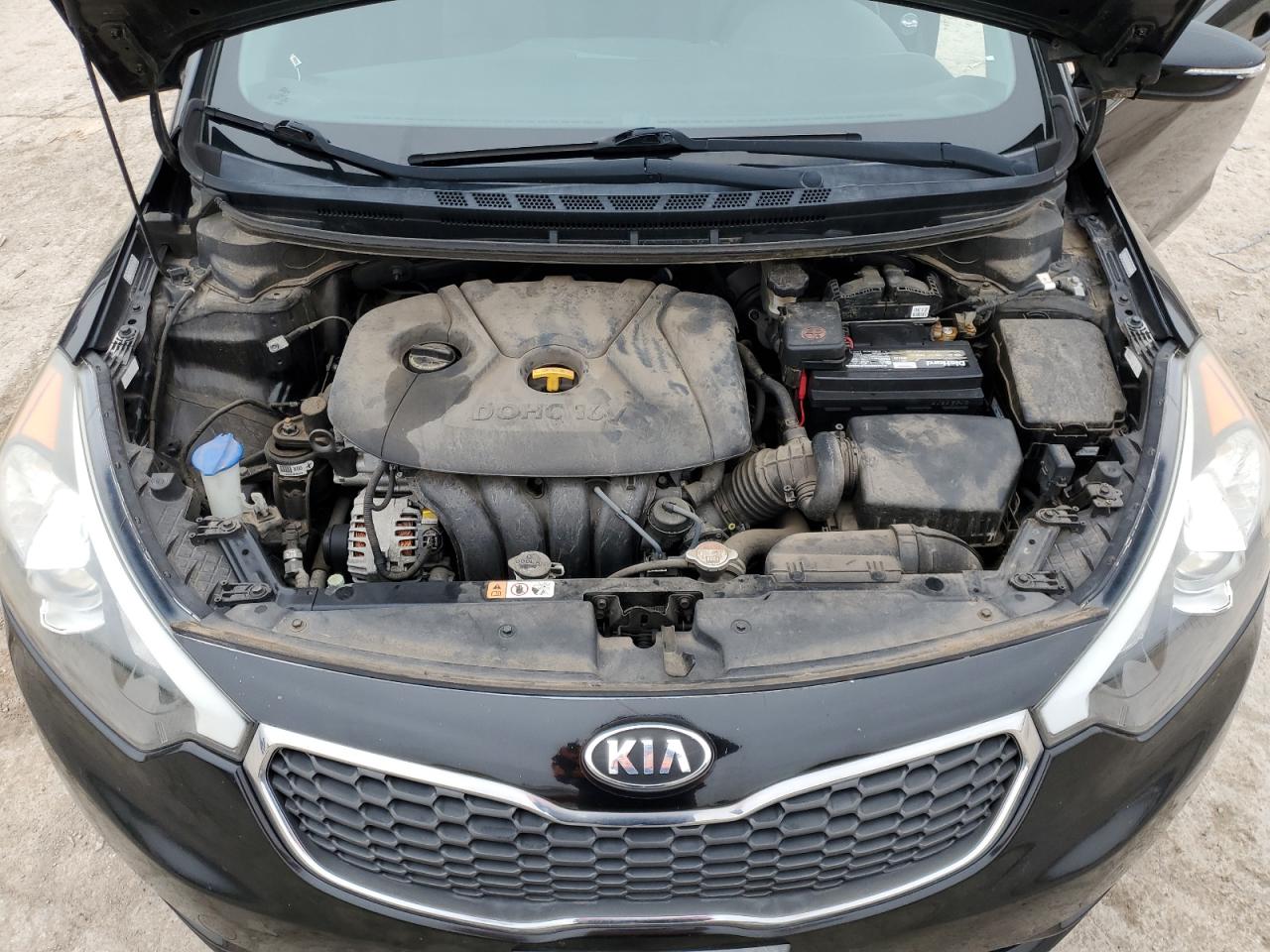 2016 KIA Forte VIN KNAFX4A65G5592795 Copart auction photo, side / minor dent/scratches damage thumbnail 11