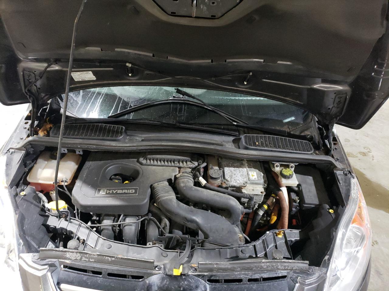 2016 Ford C-MAX VIN 1FADP5AU1GL120772 Copart auction photo, rear end damage thumbnail 12