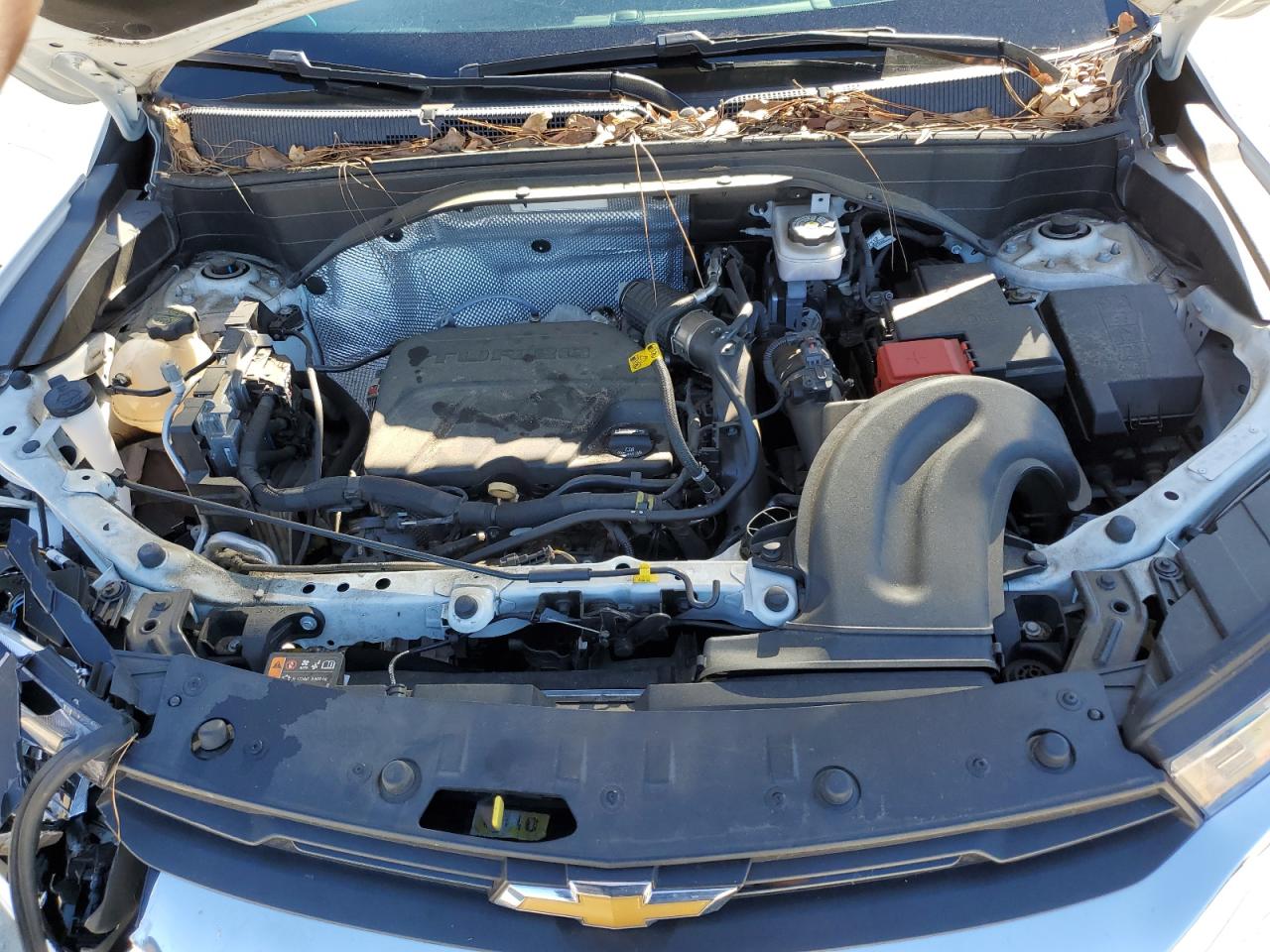 2021 Chevrolet TrailBlazer VIN KL79MPS22MB112860 Copart auction photo, front end damage thumbnail 12