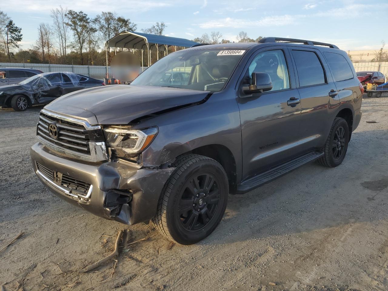 2018 Toyota Sequoia VIN 5TDZY5G16JS070984