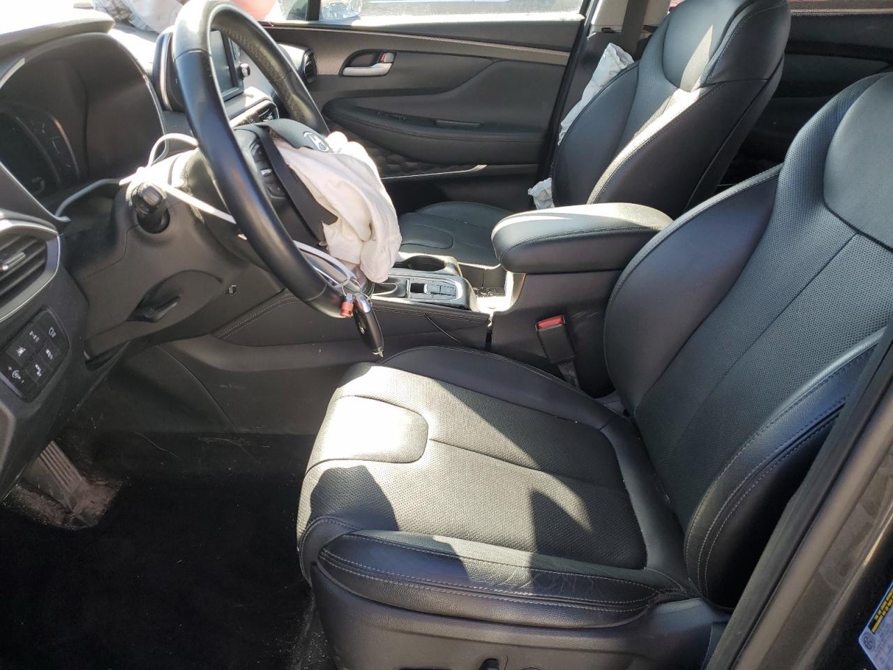 2020 Hyundai Santa Fe VIN 5NMS3CAA9LH219214 Copart auction photo, side damage thumbnail 7