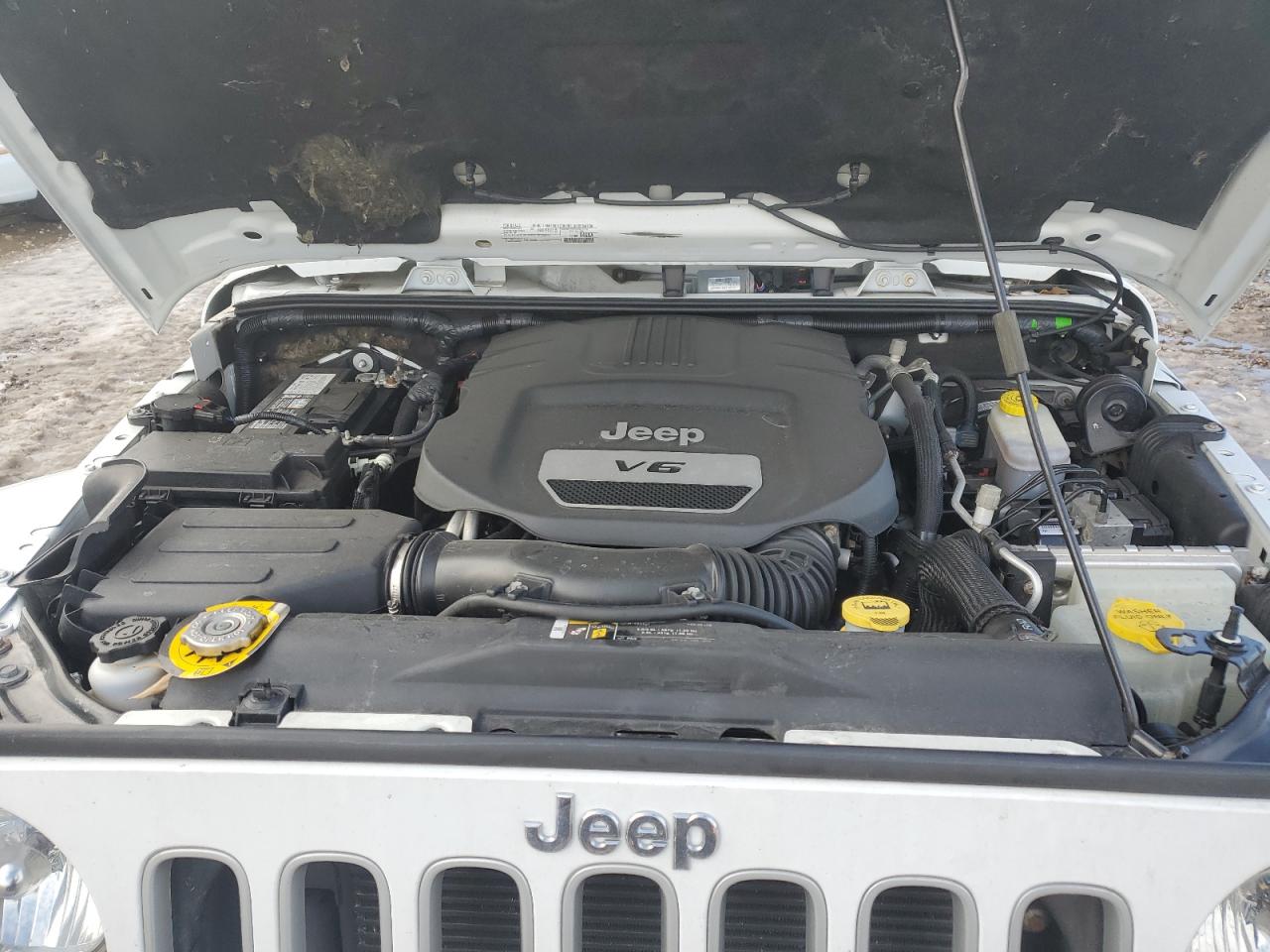2017 Jeep Wrangler VIN 1C4BJWEG2HL707688 Copart auction photo, side damage thumbnail 11