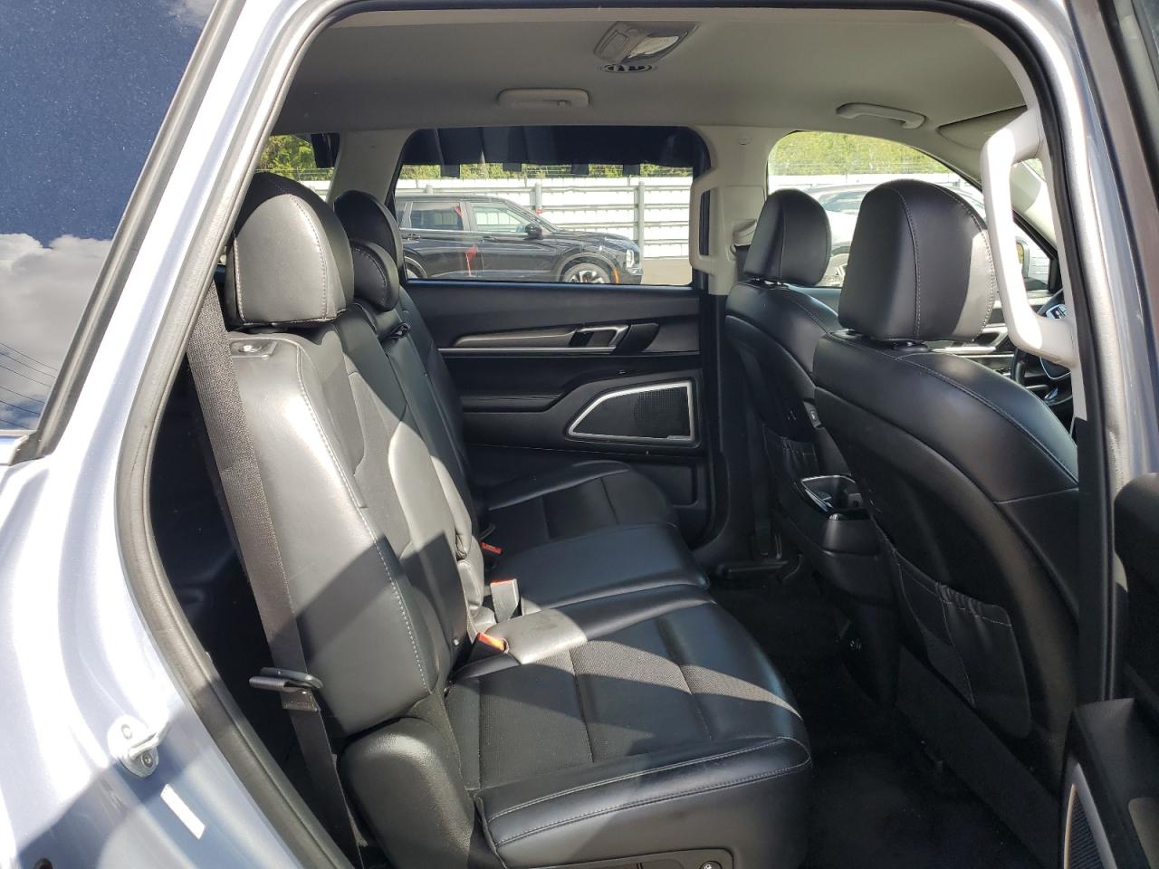 2020 KIA Telluride VIN 5XYP2DHC0LG045727 Copart auction photo, side / rear end damage thumbnail 12
