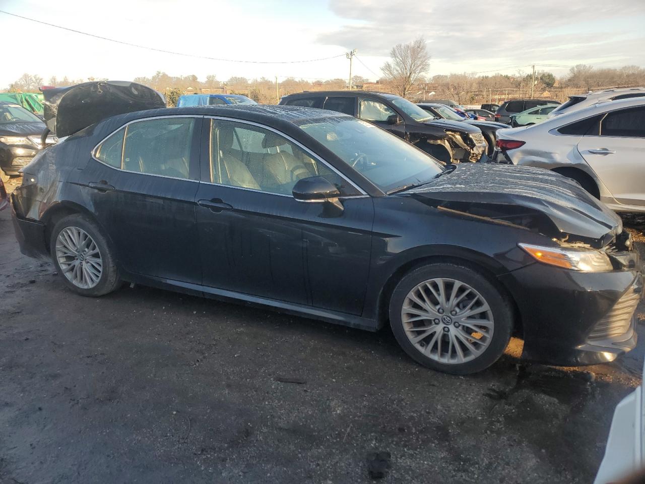 2019 Toyota Camry VIN 4T1B11HK5KU835536 Copart auction photo, rear end / front end damage thumbnail 4