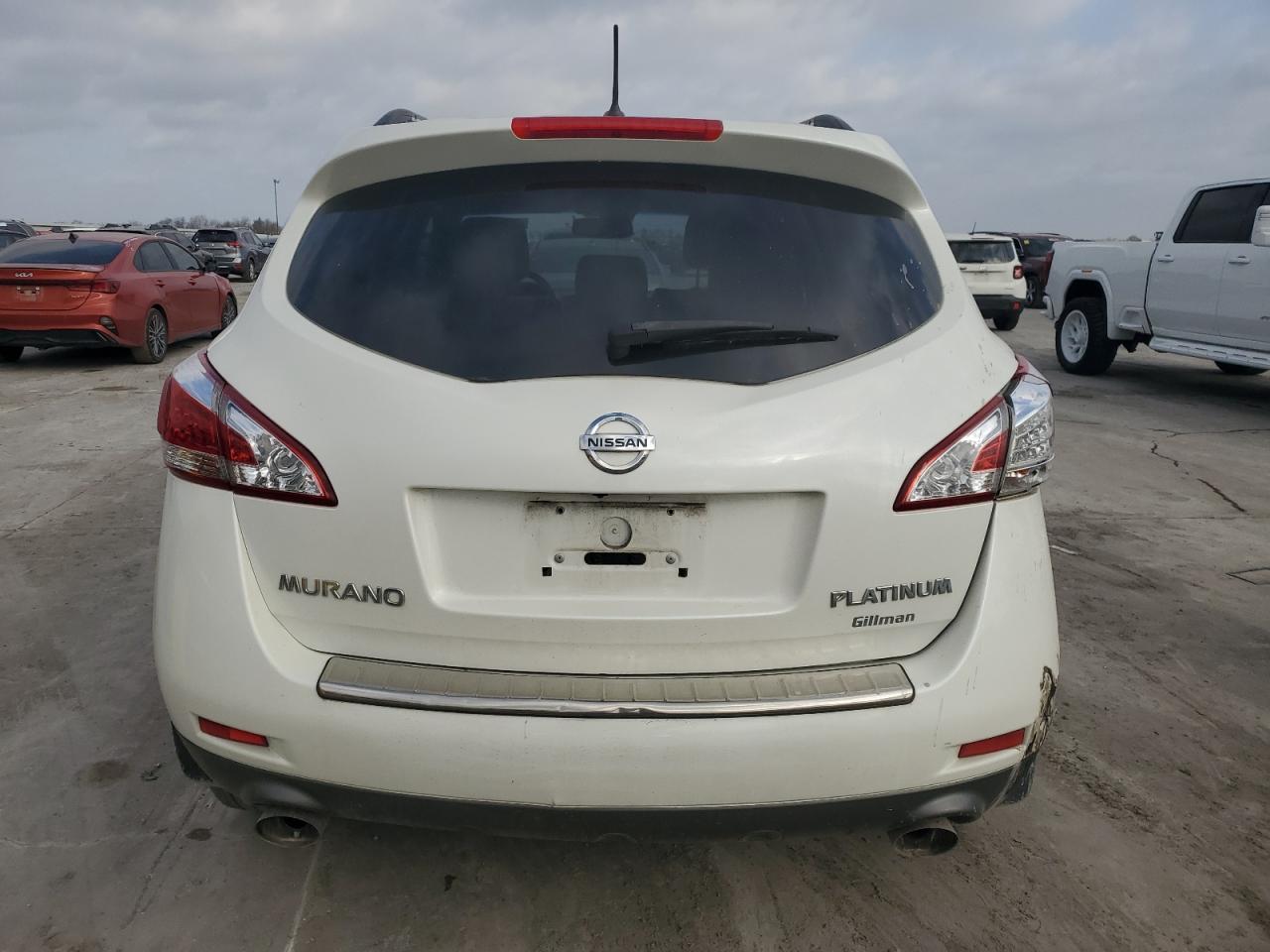 2014 Nissan Murano VIN JN8AZ1MU6EW419170 Copart auction photo, side / hail damage thumbnail 6