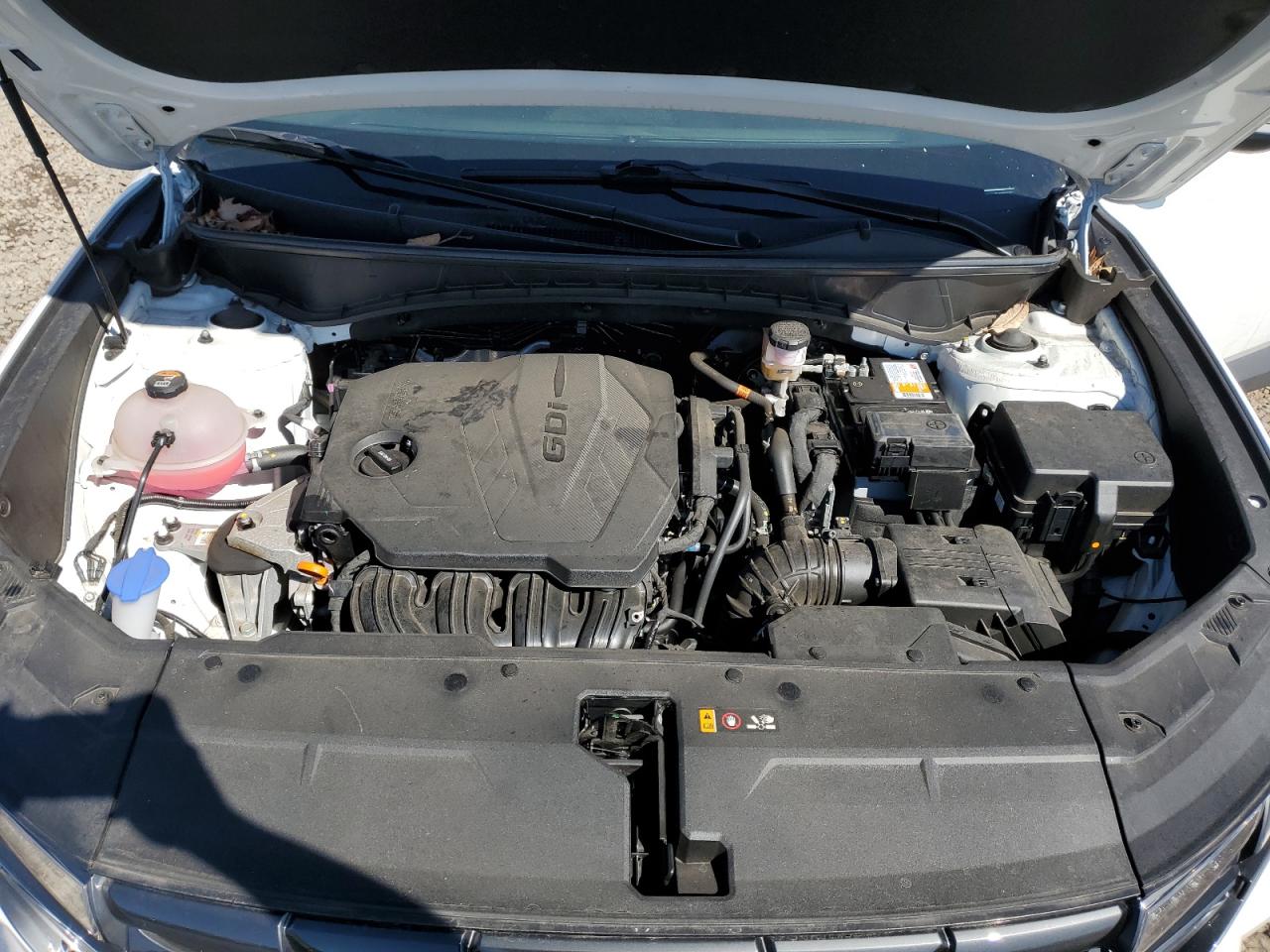 2023 Hyundai Tucson VIN 5NMJBCAE8PH236125 Copart auction photo, side / rear end damage thumbnail 12