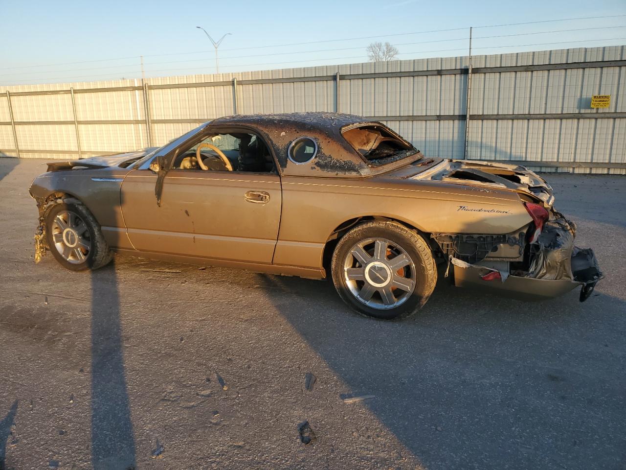 2005 Ford Thunderbird VIN 1FAHP60A85Y102946 Copart auction photo, burn damage thumbnail 2