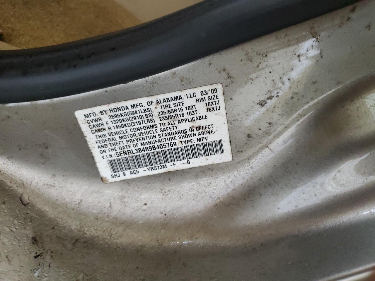 2009 Honda Odyssey VIN 5FNRL38489B405769 Copart auction photo, side damage thumbnail 12