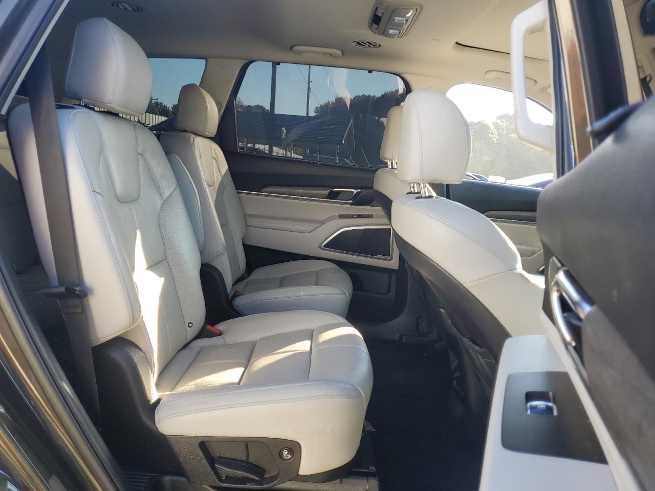 2020 KIA Telluride VIN 5XYP3DHC9LG085009 Copart auction photo, rear end damage thumbnail 11