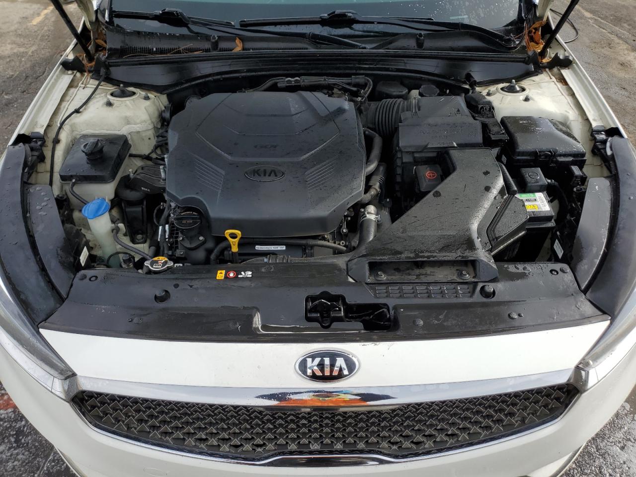 2017 KIA Cadenza VIN KNALB4J11H5036359 Copart auction photo, side damage thumbnail 11