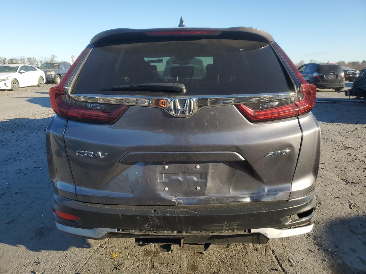 2020 Honda CR-V VIN 5J6RW2H5XLL009304 Copart auction photo, rear end / minor dent/scratches damage thumbnail 6