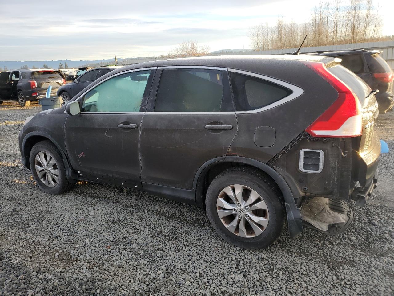 2014 Honda CR-V VIN 5J6RM4H5XEL085531 Copart auction photo, rear end damage thumbnail 2