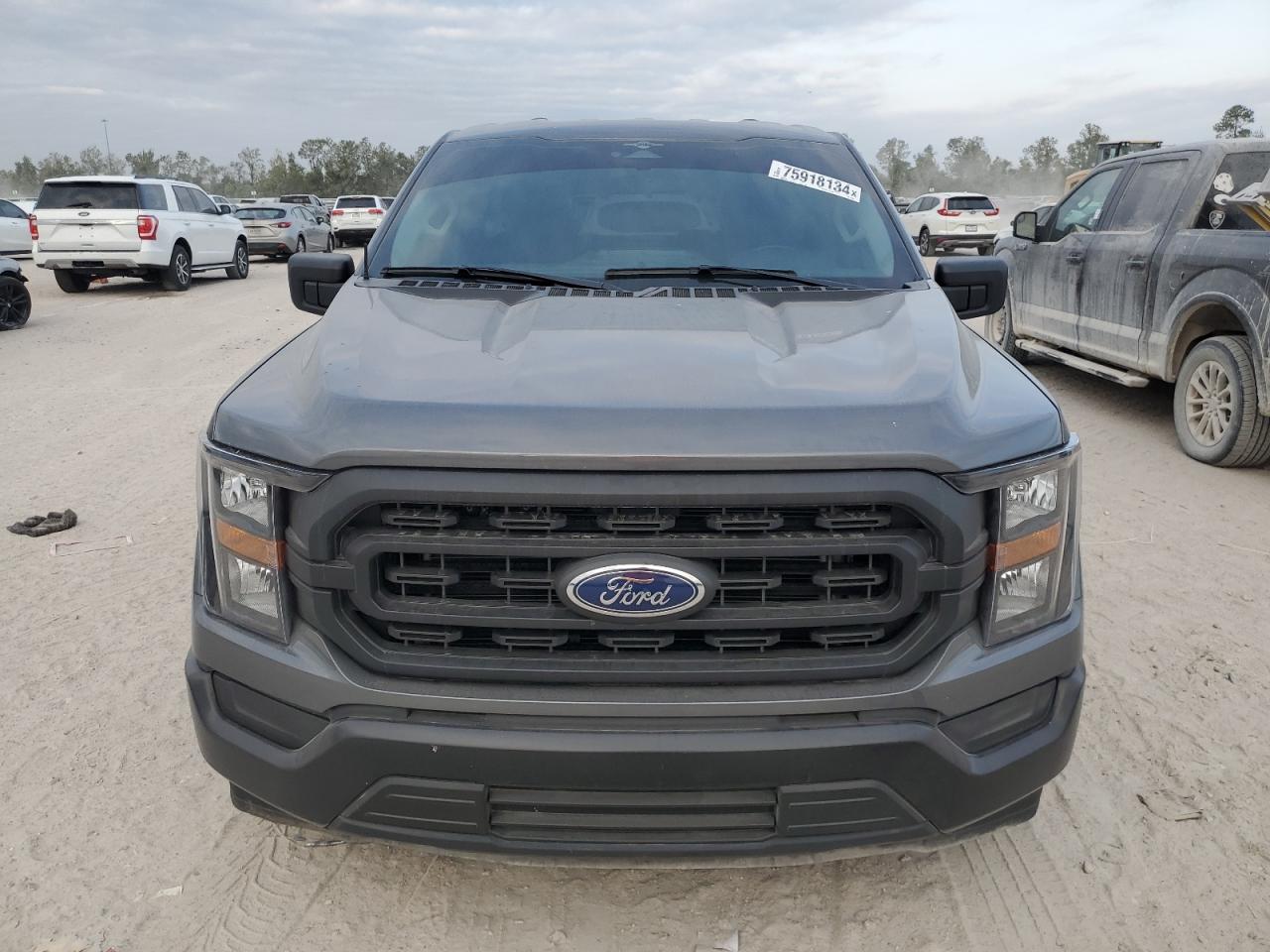 2023 Ford F-150 VIN 1FTMF1C5XPKF21948 Copart auction photo, vandalism damage thumbnail 5