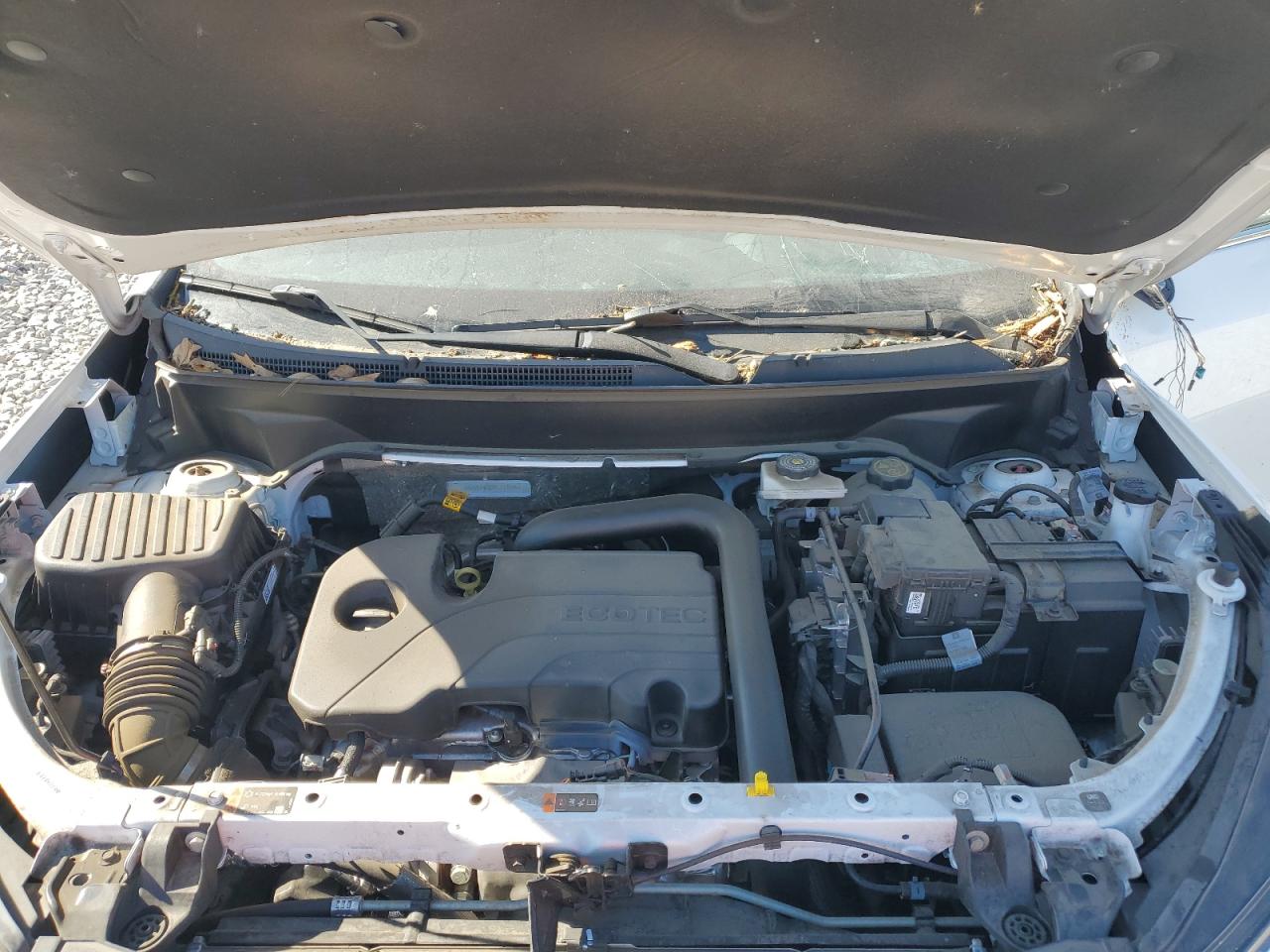 2023 Chevrolet Equinox VIN 3GNAXNEG2PL113374 Copart auction photo, top/roof damage thumbnail 14