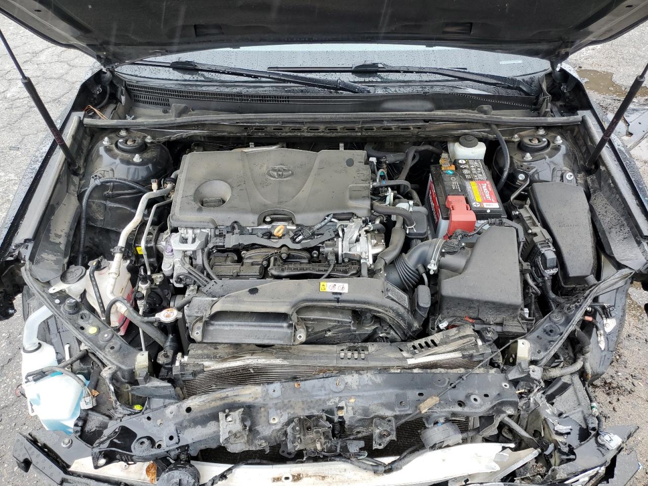 2019 Toyota Camry VIN 4T1B11HK8KU770147 Copart auction photo, front end / minor dent/scratches damage thumbnail 11