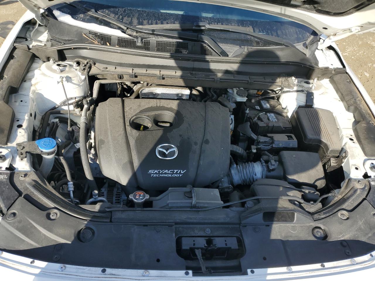 2019 Mazda CX-5 VIN JM3KFACM7K0516684 Copart auction photo, side damage thumbnail 12