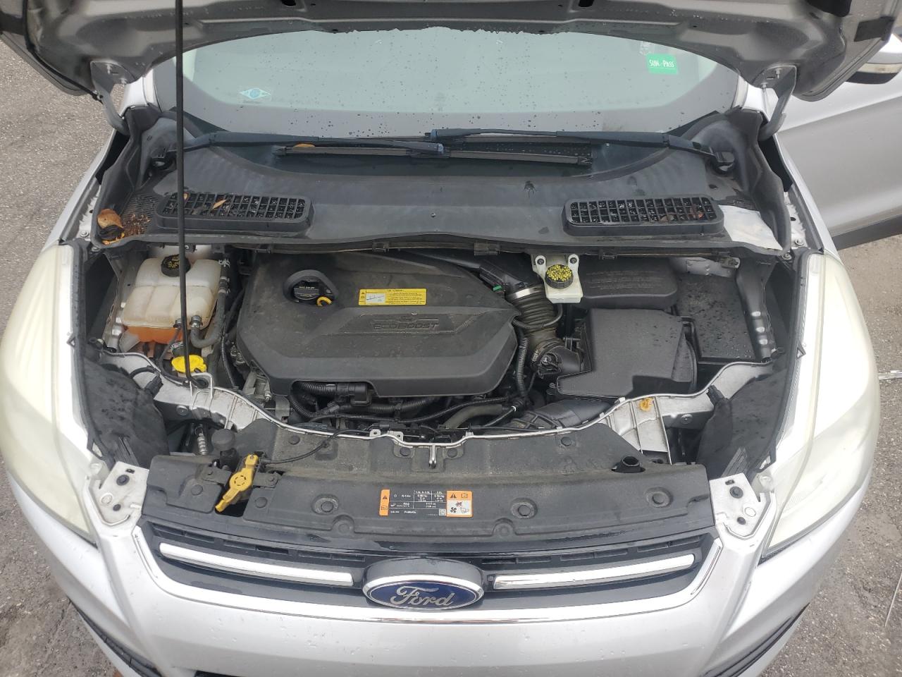 2014 Ford Escape VIN 1FMCU0JX8EUC81649 Copart auction photo, side damage thumbnail 12