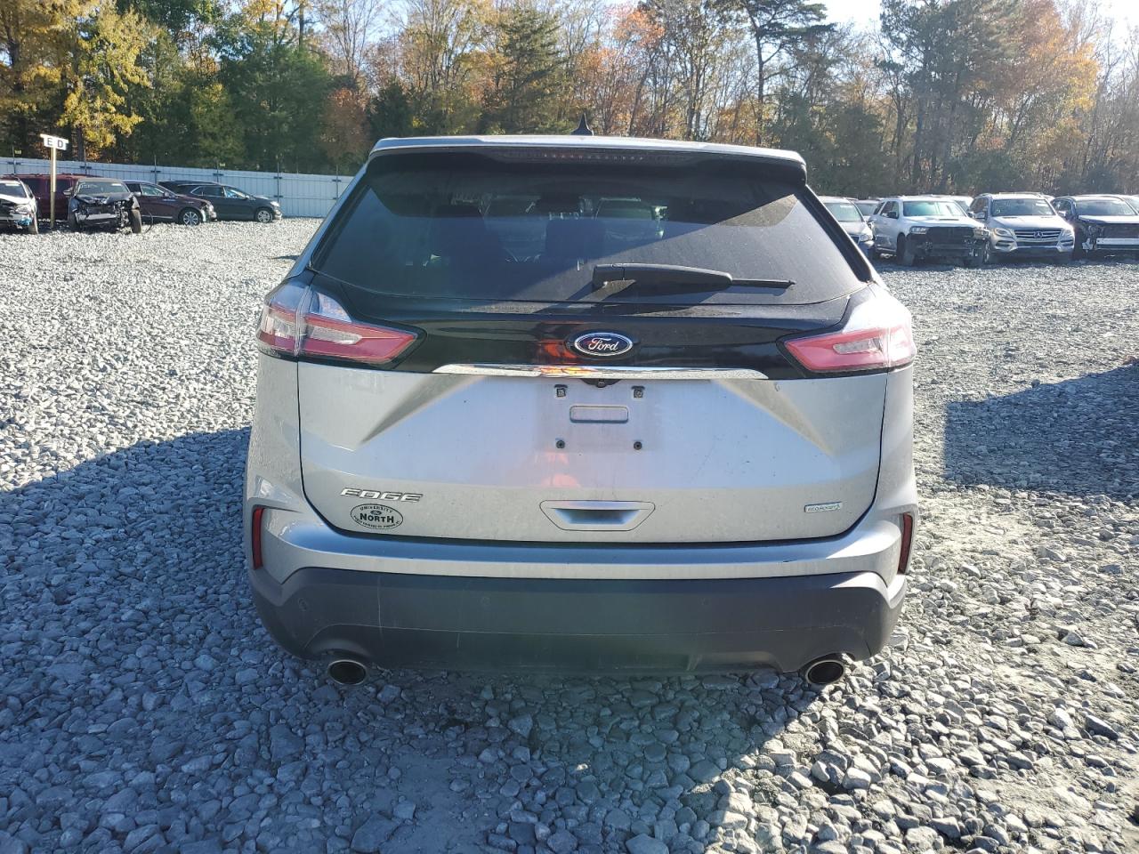 2020 Ford Edge VIN 2FMPK3G91LBB06809 Copart auction photo, side damage thumbnail 6