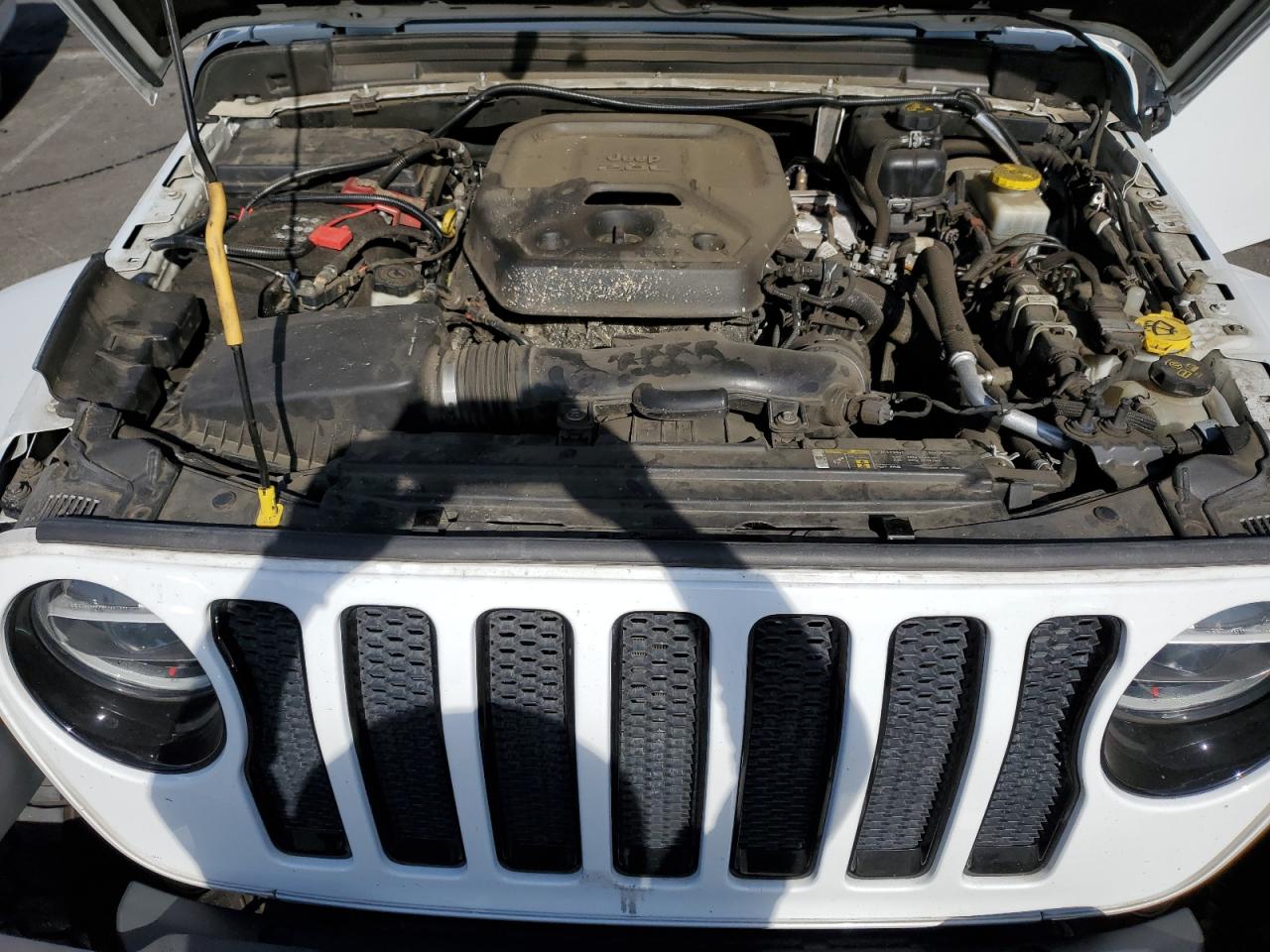 2019 Jeep Wrangler VIN 1C4HJXEN6KW642624 Copart auction photo, side damage thumbnail 12