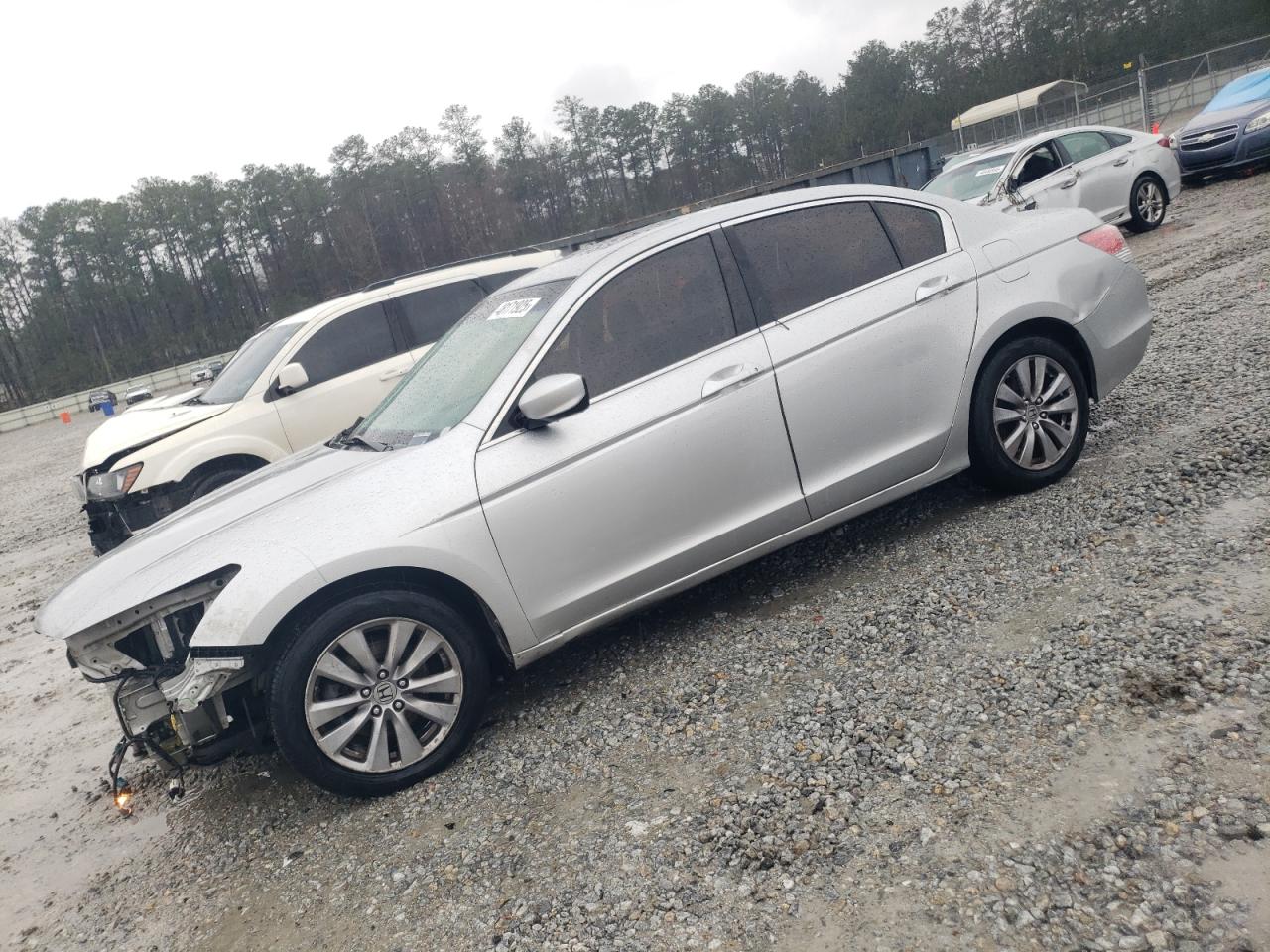2011 Honda Accord VIN 1HGCP2F80BA062210