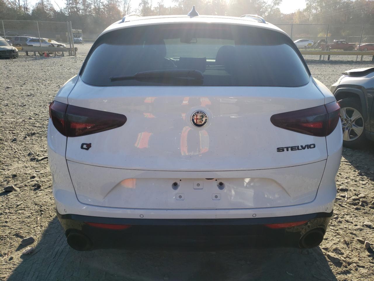 2020 Alfa Romeo Stelvio VIN ZASPAKAN5L7C85671 Copart auction photo, front end damage thumbnail 6