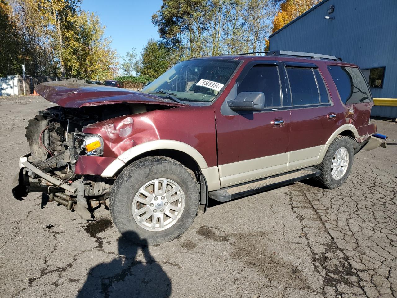 2010 Ford Expedition VIN 1FMJU1J58AEB07466