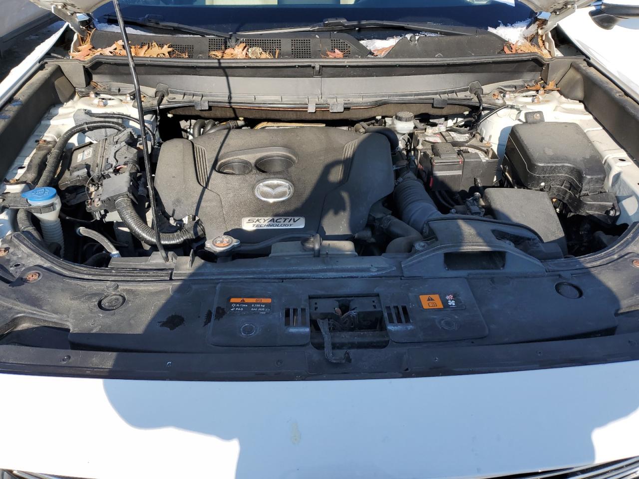 2016 Mazda CX-9 VIN JM3TCBDY5G0107417 Copart auction photo, rear end damage thumbnail 12