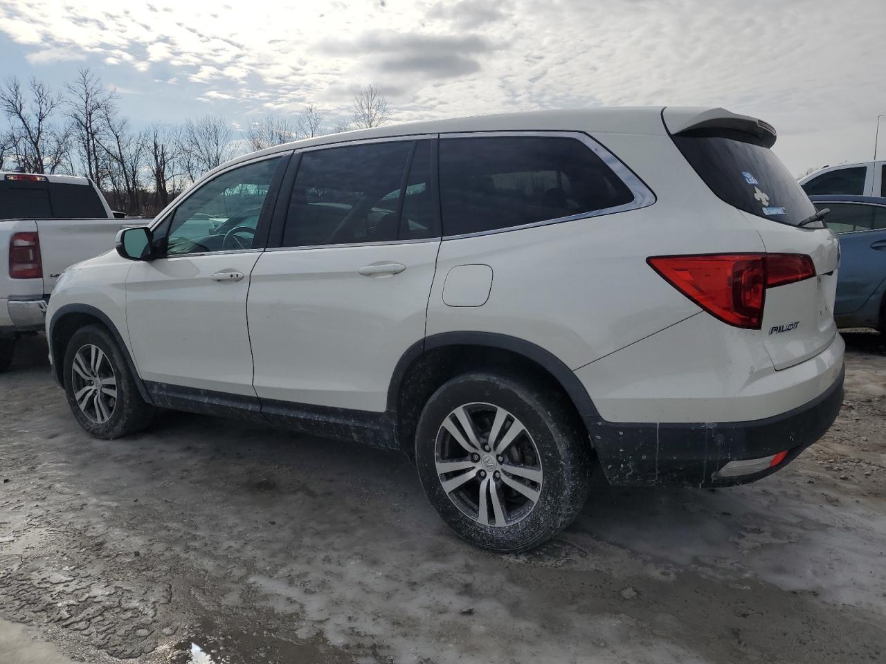 2017 Honda Pilot VIN 5FNYF6H81HB084602 Copart auction photo, hail damage thumbnail 2