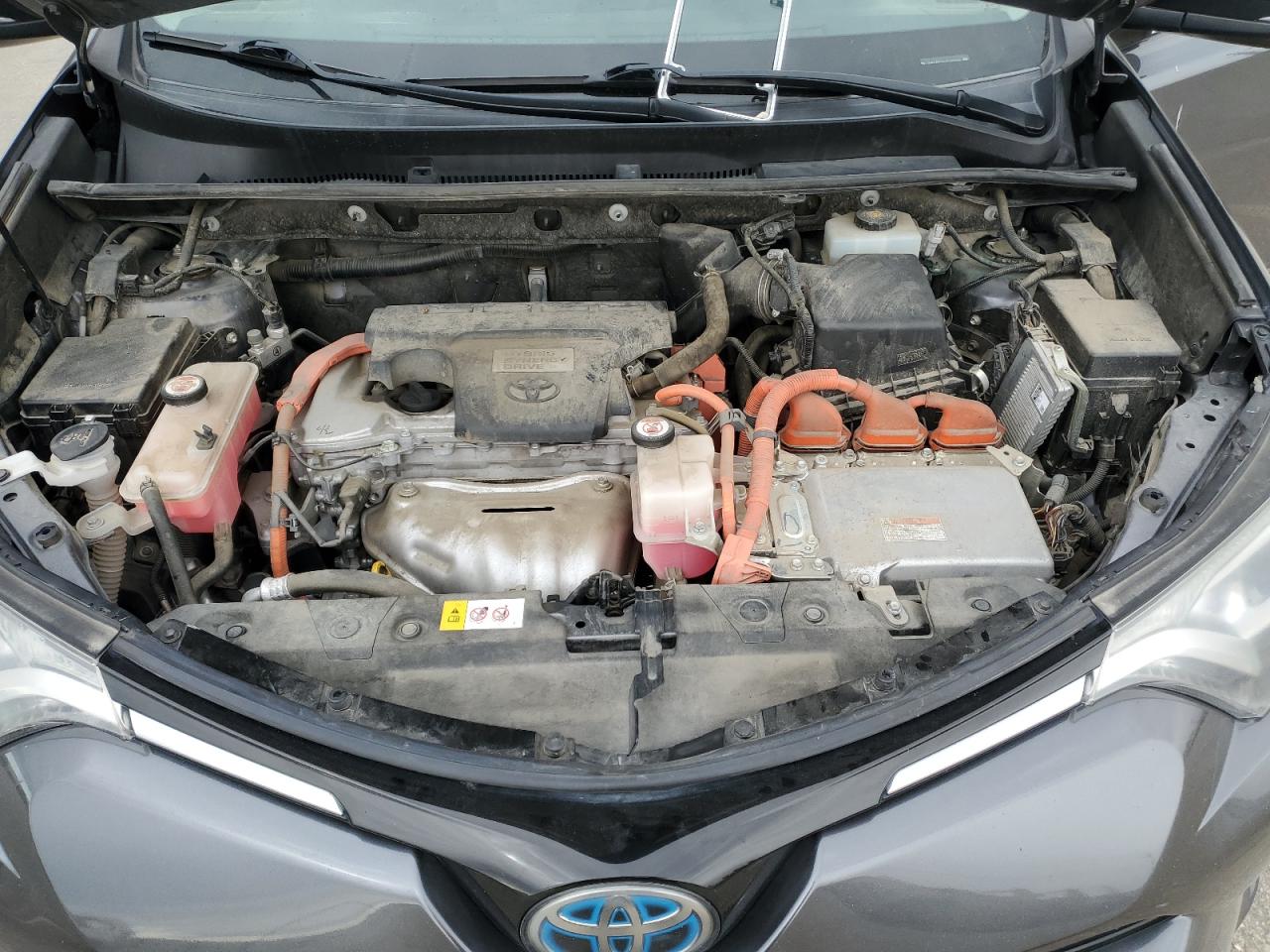 2018 Toyota RAV 4 VIN JTMRJREV6JD159466 Copart auction photo, side / rear end damage thumbnail 13