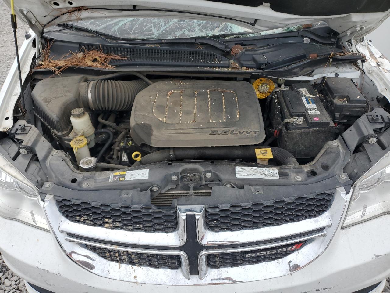 2019 Dodge Caravan VIN 2C4RDGBG6KR719552 Copart auction photo, top/roof / front end damage thumbnail 14