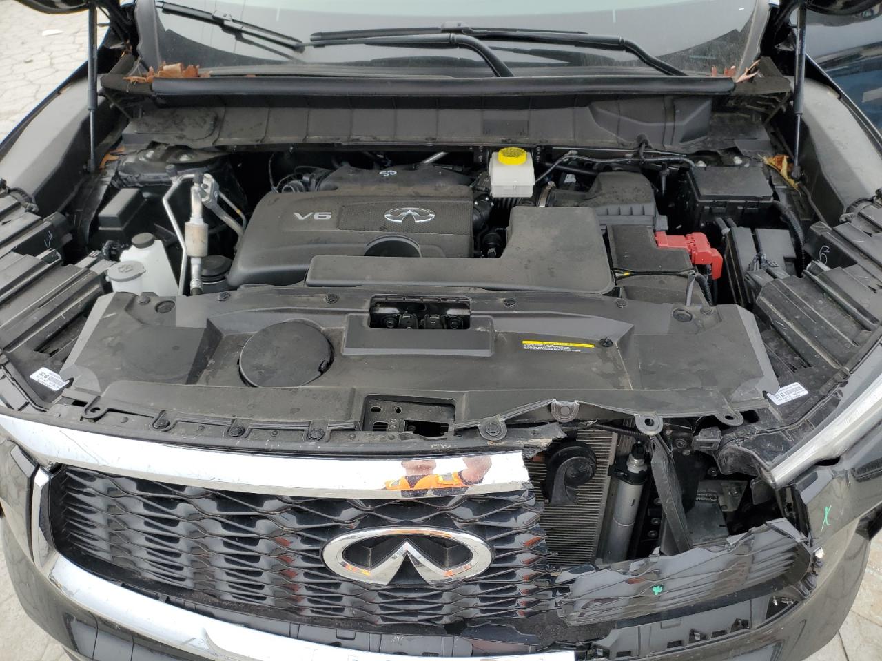 2024 Infiniti QX60 VIN 5N1DL1FR5RC355788 Copart auction photo, all over damage thumbnail 12