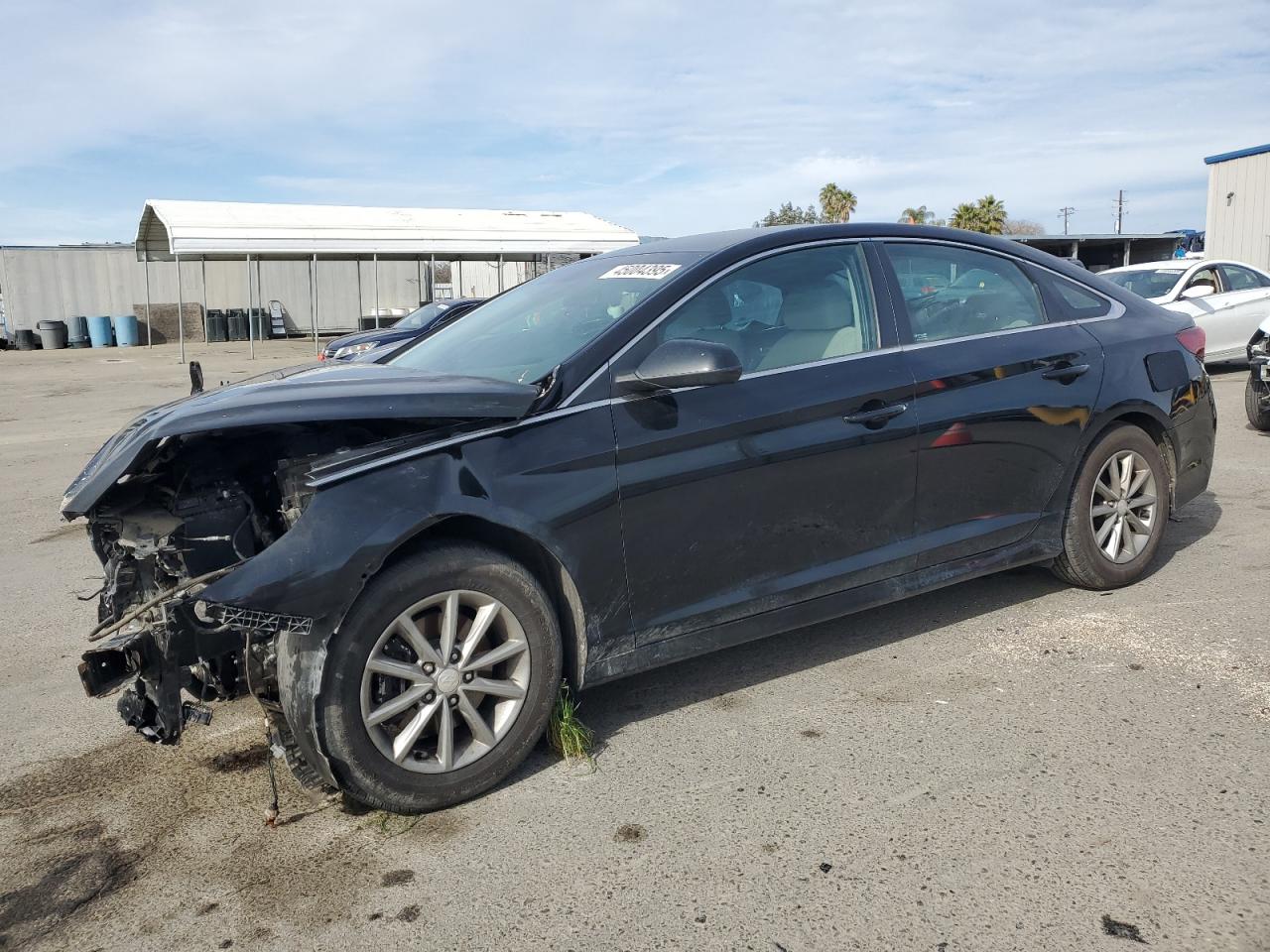 2019 Hyundai Sonata VIN 5NPE24AF0KH738316
