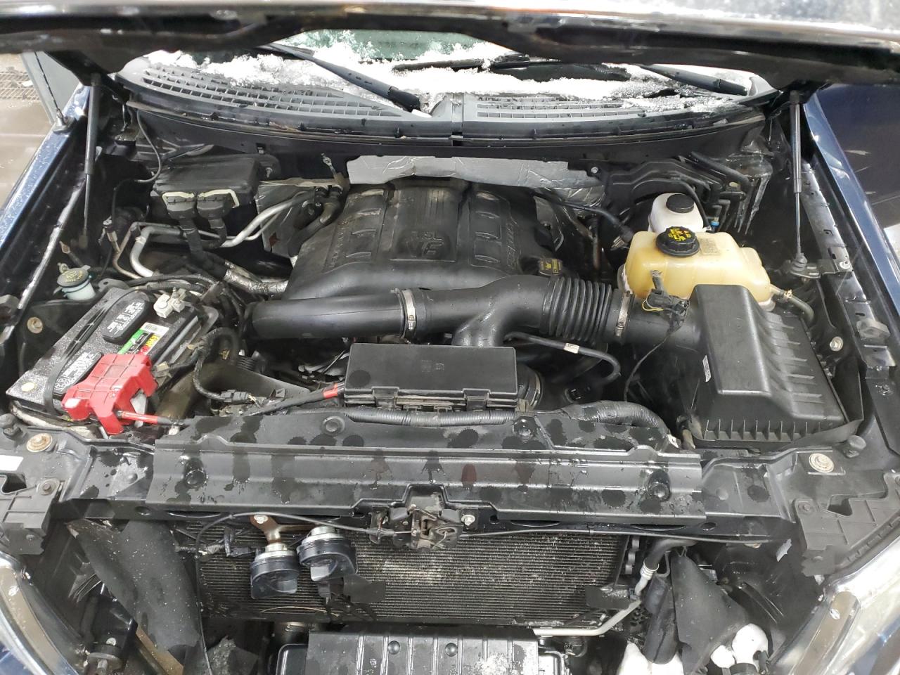 2013 Ford F-150 VIN 1FTFW1ET4DFC59739 Copart auction photo, side damage thumbnail 11