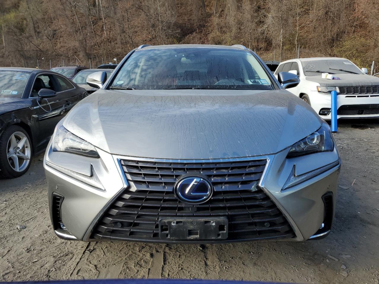 2020 Lexus NX VIN JTJGJRDZ0L2134196 Copart auction photo, rear end / minor dent/scratches damage thumbnail 5