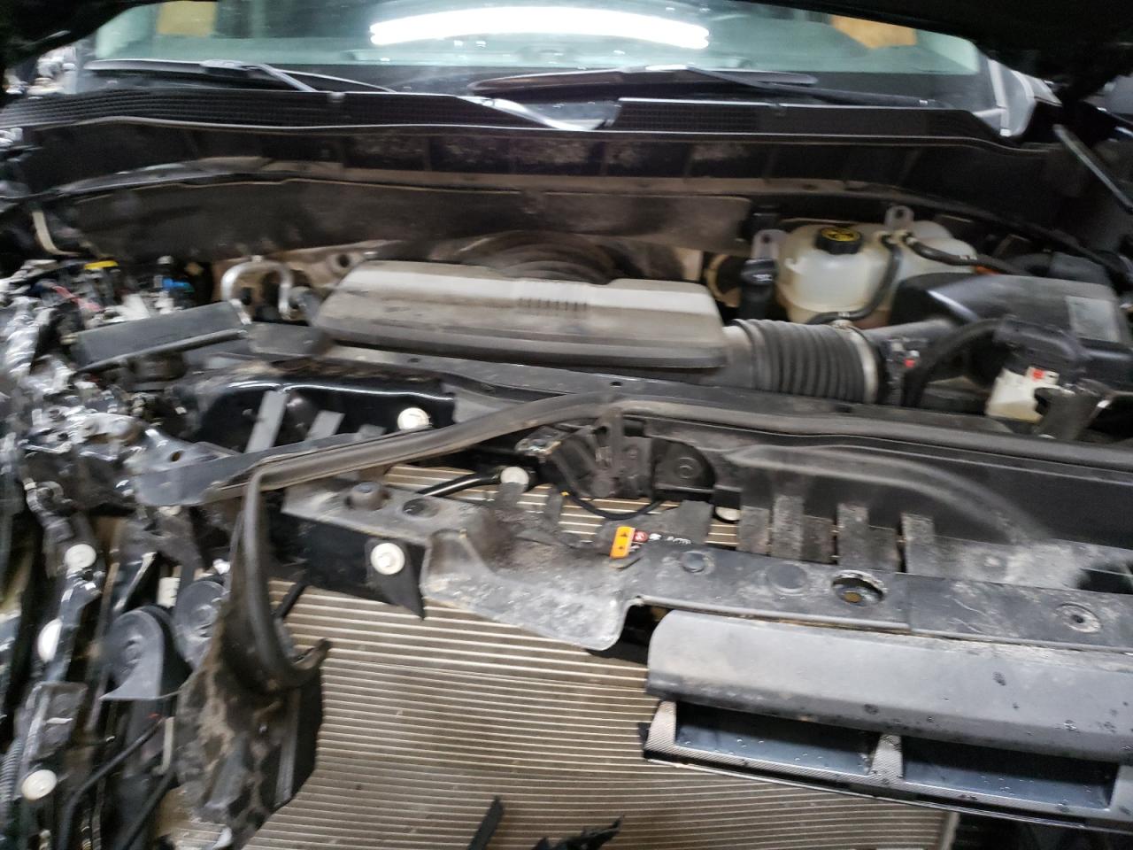 2021 Chevrolet Silverado VIN 1GCPYFED7MZ125455 Copart auction photo, front end / minor dent/scratches damage thumbnail 11
