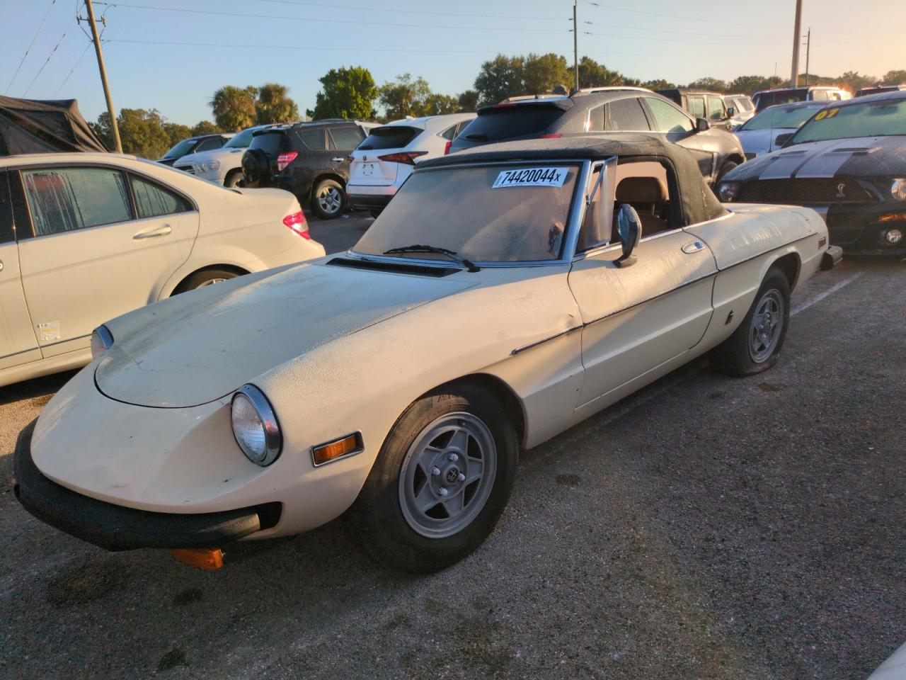 1982 Alfa Romeo Giulia VIN ZARBA5414C1014655