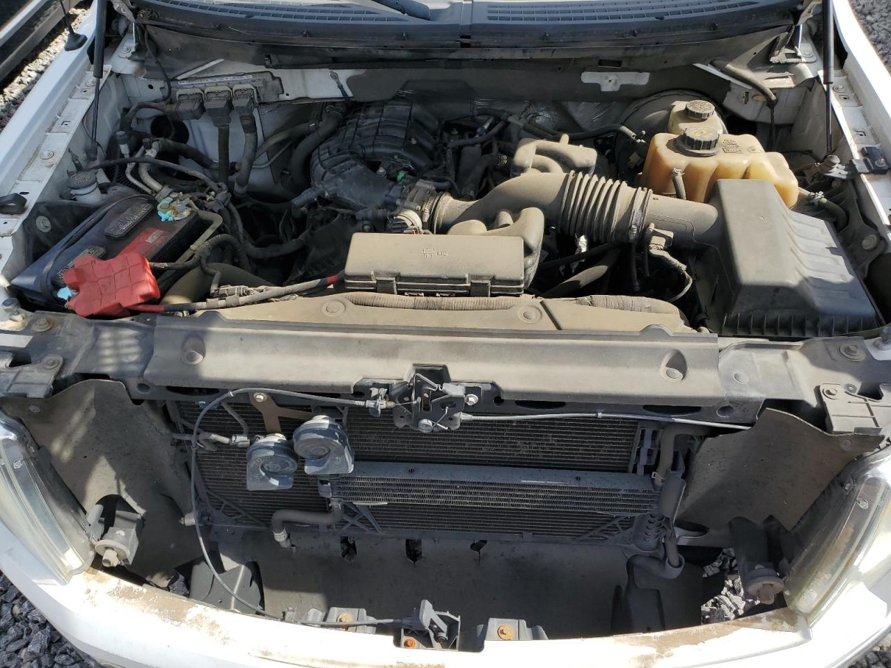 2011 Ford F-150 VIN 1FTEW1CM9BFA39629 Copart auction photo, normal wear damage thumbnail 11