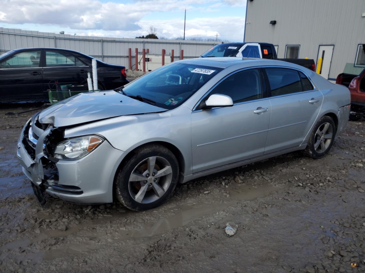 2011 Chevrolet Malibu VIN 1G1ZC5E1XBF251842