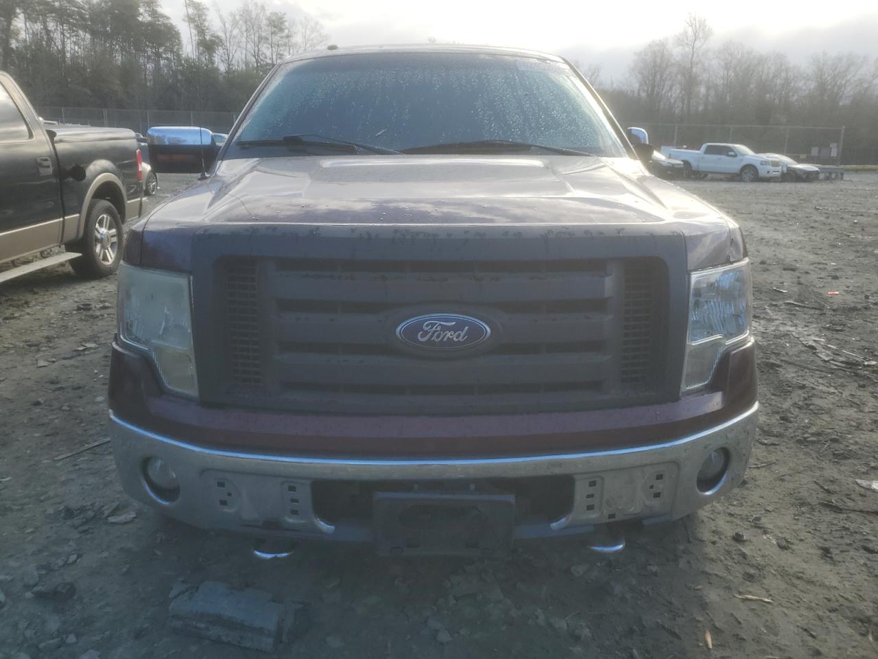 2010 Ford F-150 VIN 1FTFW1EV9AKA90208 Copart auction photo, side / undercarriage damage thumbnail 5