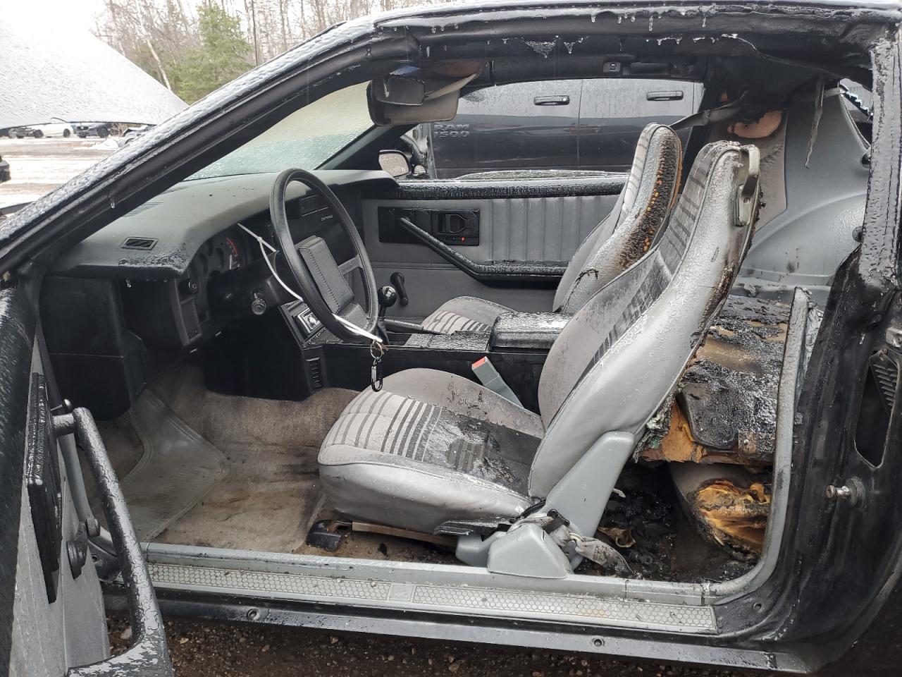 1985 Chevrolet Camaro VIN 1G1FP87SXFN101966 Copart auction photo, burn / minor dent/scratches damage thumbnail 7