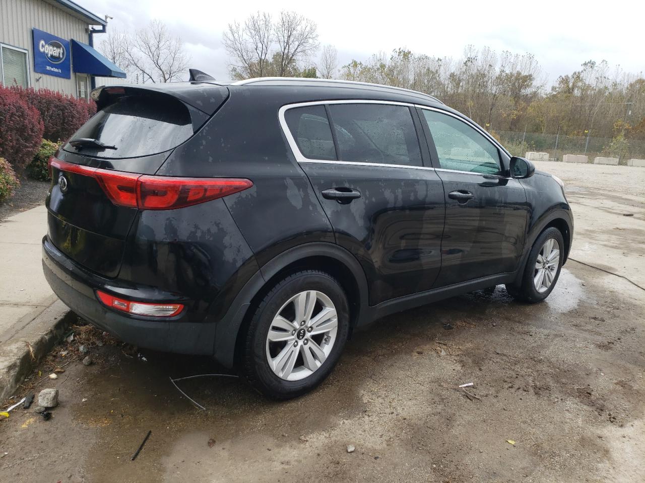 2017 KIA Sportage VIN KNDPM3AC9H7216221 Copart auction photo, side damage thumbnail 3