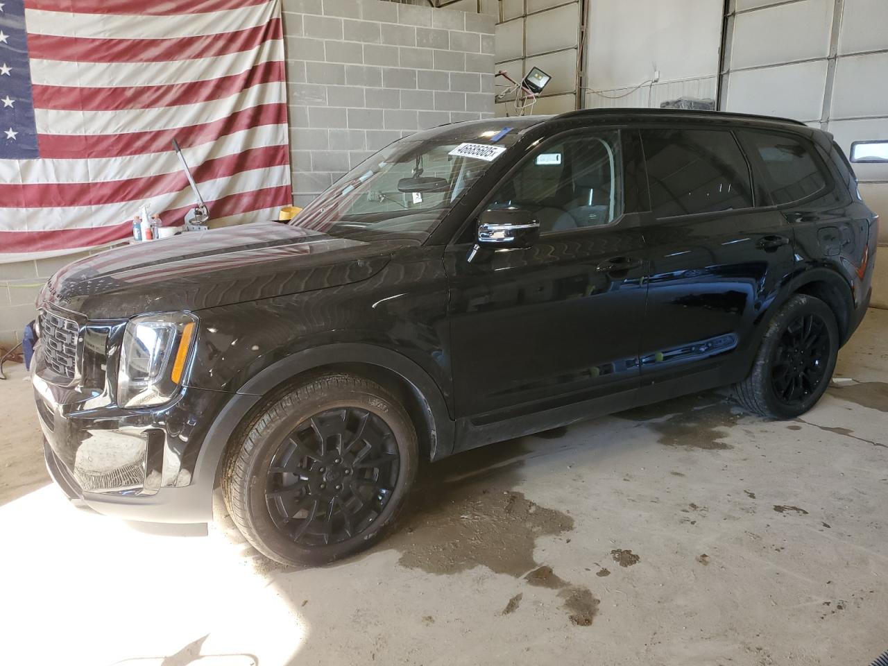 2021 KIA Telluride VIN 5XYP5DHC8MG186179