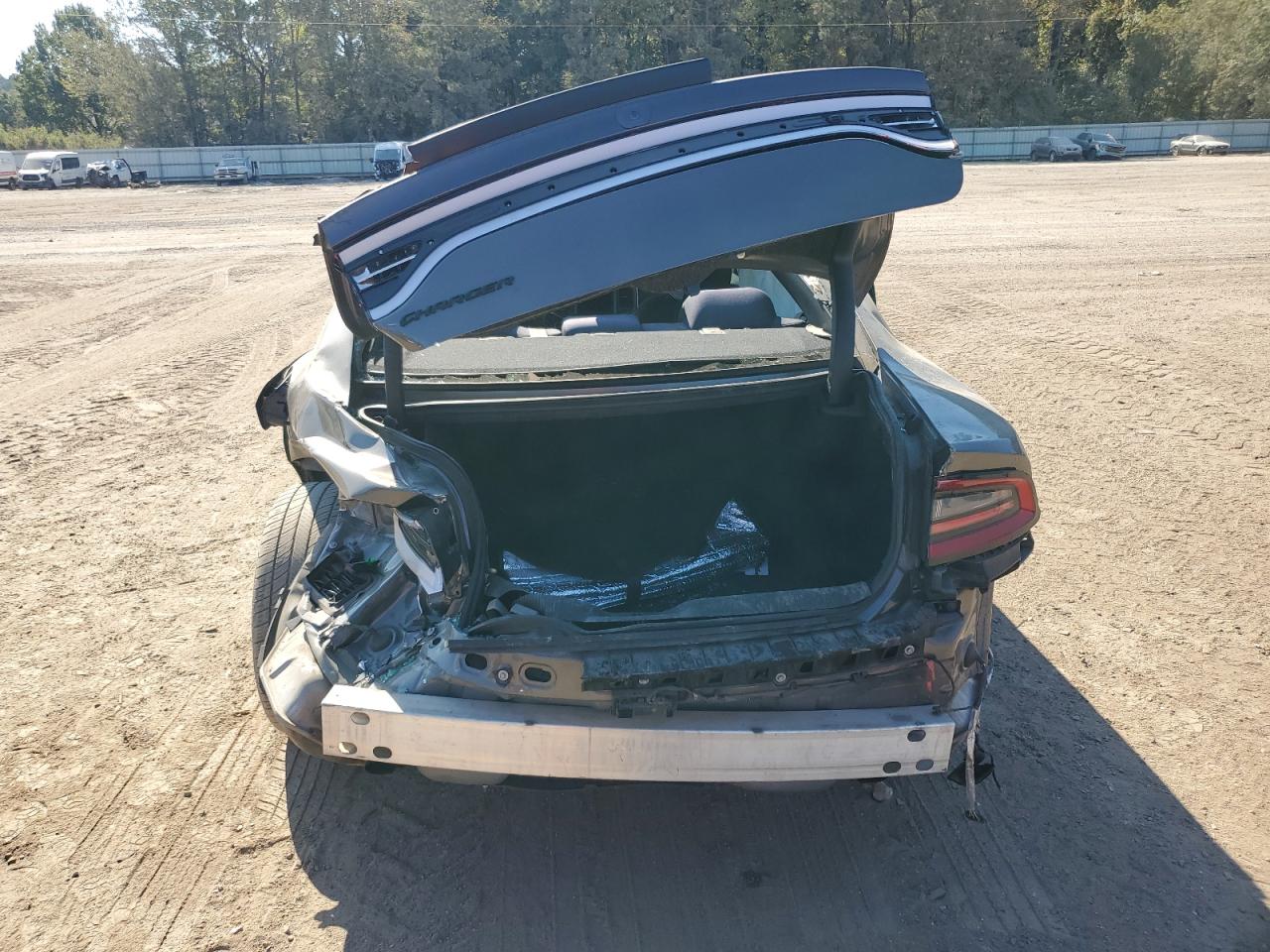 2018 Dodge Charger VIN 2C3CDXBG1JH335306 Copart auction photo, rear end / side damage thumbnail 6