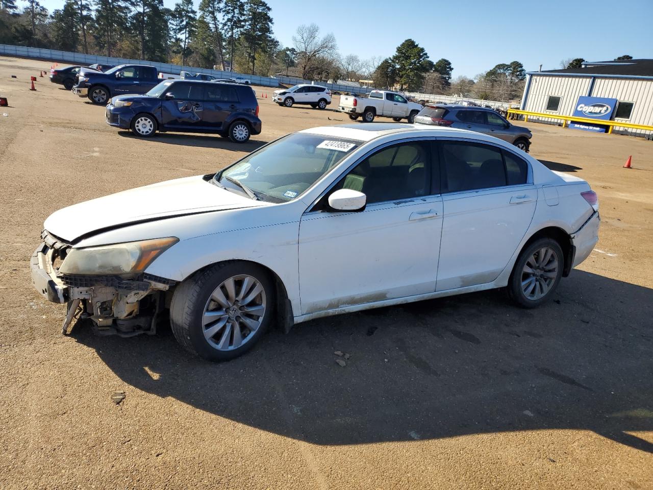2011 Honda Accord VIN 1HGCP2F89BA116314