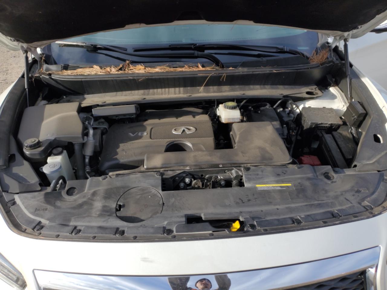 2020 Infiniti QX60 VIN 5N1DL0MN1LC546769 Copart auction photo, rear end damage thumbnail 12