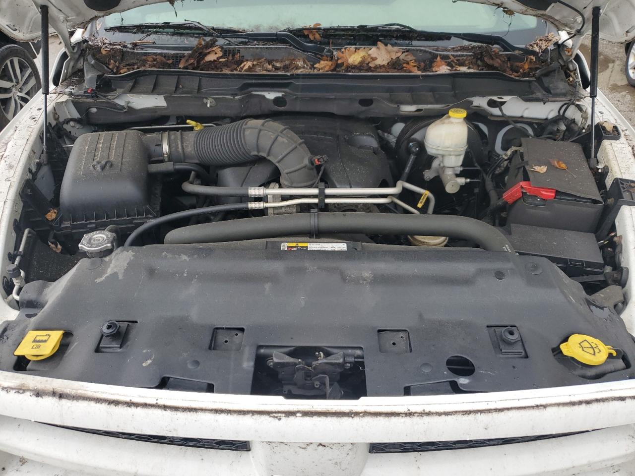 2012 Dodge RAM VIN 1C6RD7FT6CS334667 Copart auction photo, biohazard/chemical damage thumbnail 12