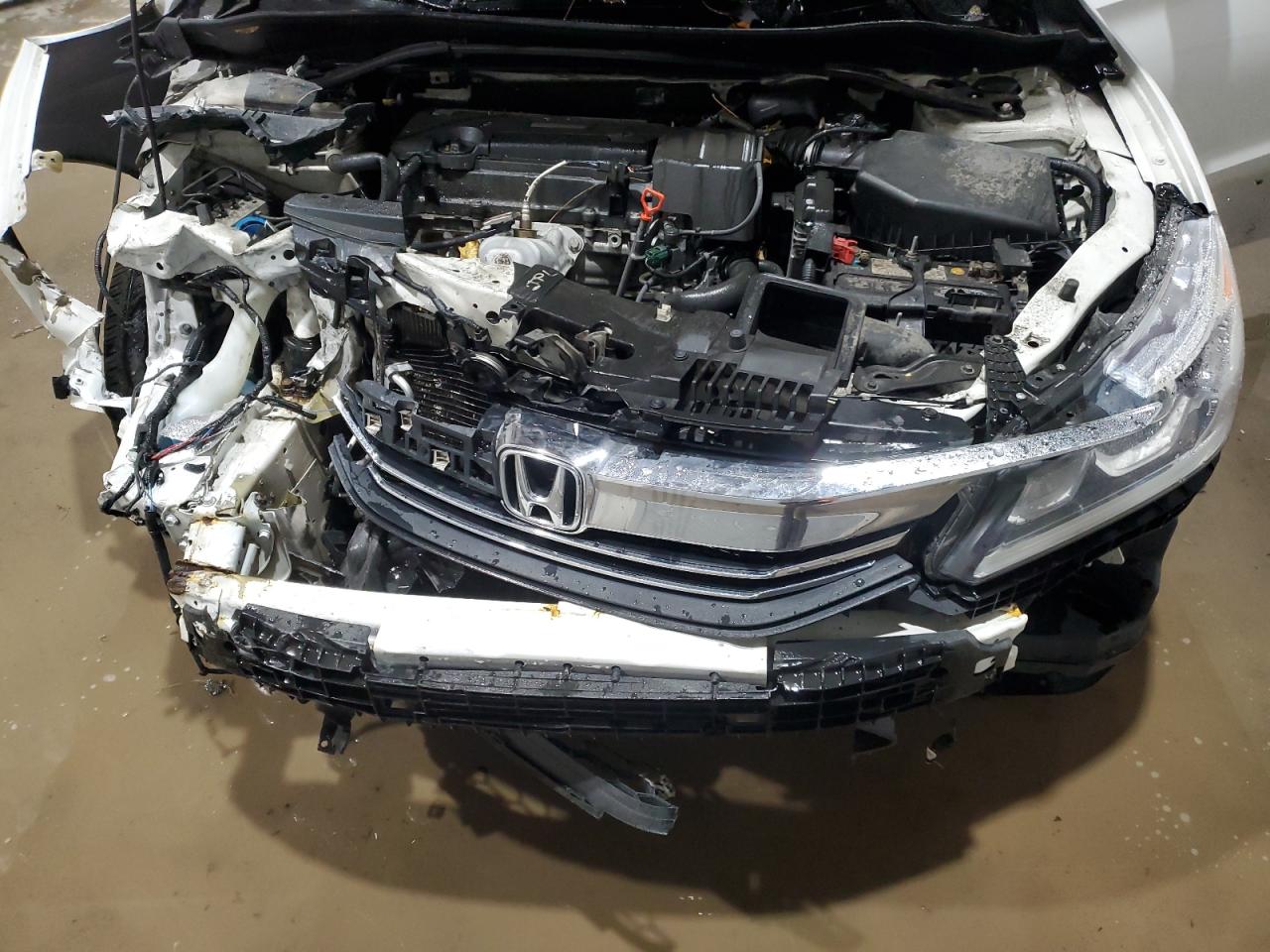 2016 Honda Accord VIN 1HGCR2F55GA176565 Copart auction photo, front end / side damage thumbnail 11