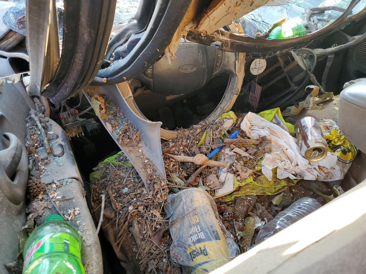 1999 Ford F-150 VIN 1FTZX1724XNA17543 Copart auction photo, water/flood / top/roof damage thumbnail 8